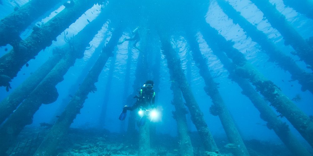 Imagem de um cabo submarino no fundo do oceano